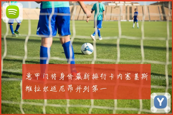 意甲门将身价最新排行卡内塞基斯维拉尔迈尼昂并列第一