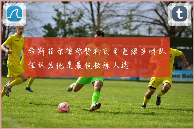 希斯菲尔德称赞科瓦奇重振多特队伍认为他是最佳教练人选