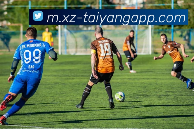 太阳城APP 封面图