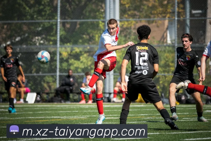 数据防护可视化