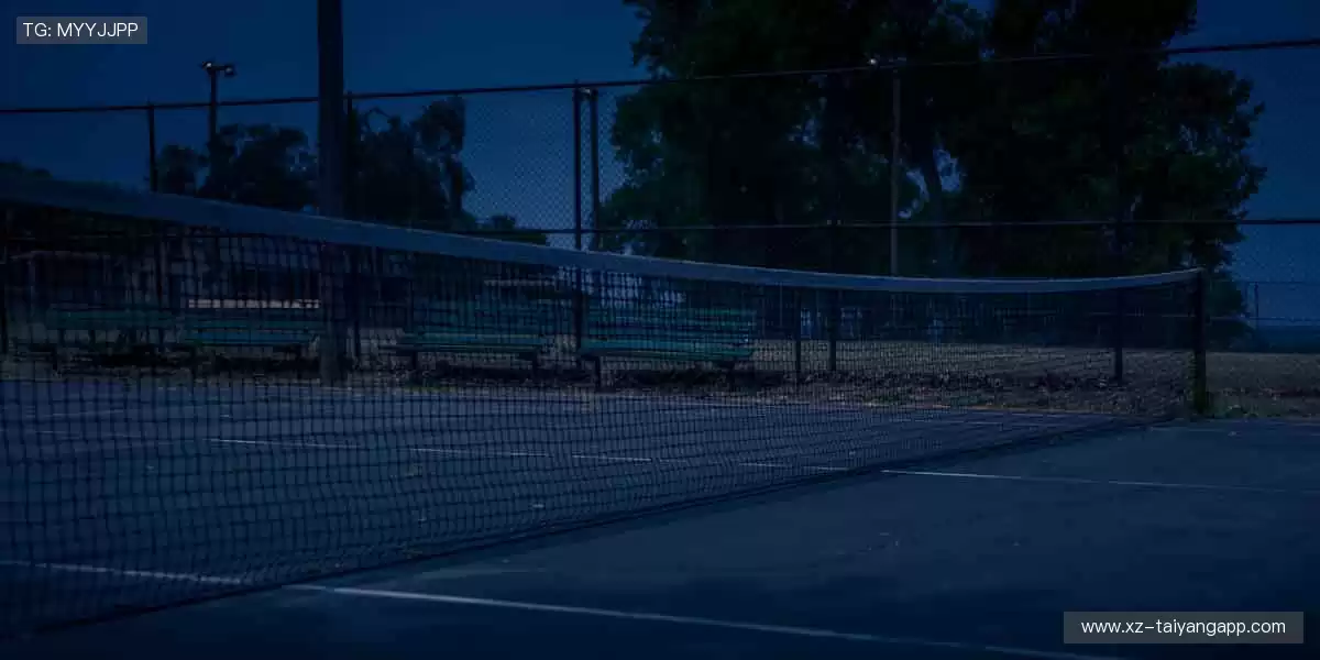 🎉 赛事门票，限时抢购！现场呐喊助威，见证荣耀时刻🎟️